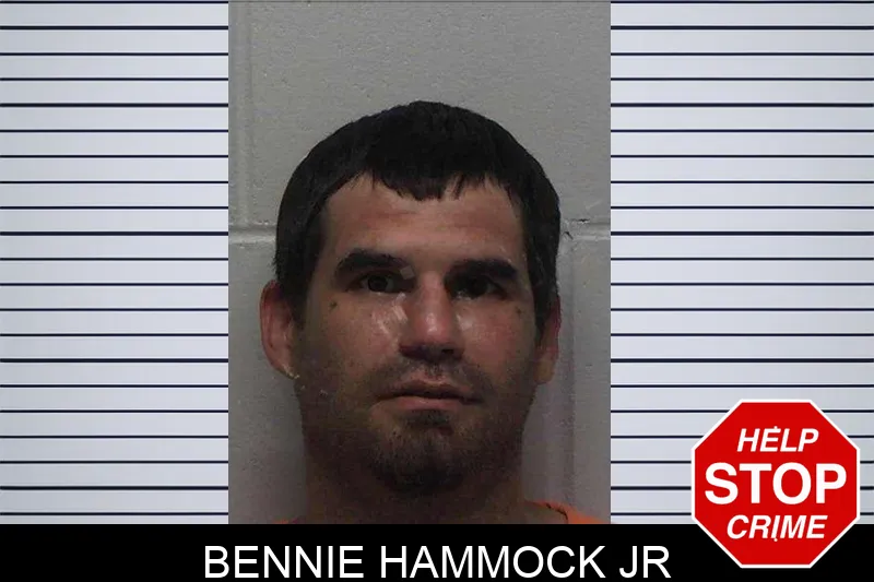 Bennie Hammock Jr mugshot