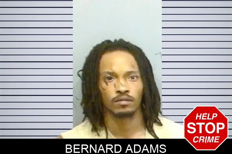 Bernard Adams mugshot