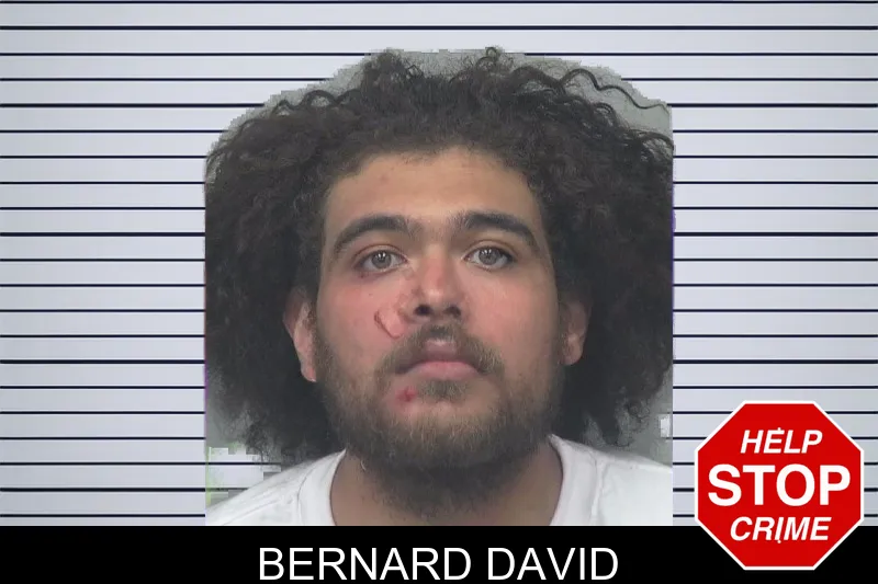 Bernard David mugshot – Gwinnett County , Georgia Bernard David mugshot