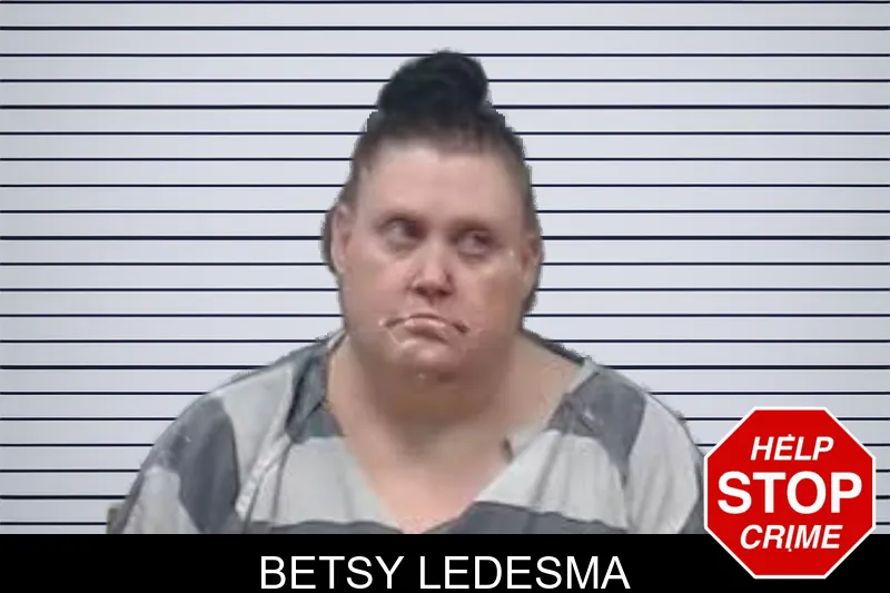 Betsy Ledesma mugshot