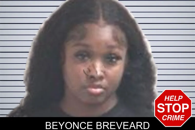 Beyonce Breveard mugshot – Henry County , Georgia Beyonce Breveard mugshot