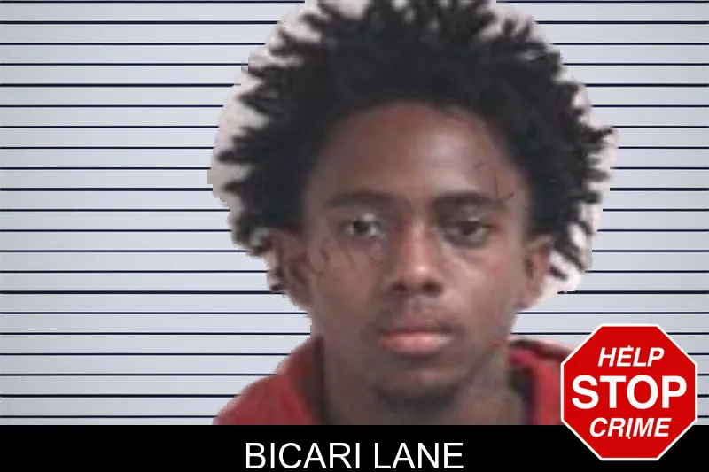 Bicari Lane mugshot – Henry County , Georgia Bicari Lane mugshot
