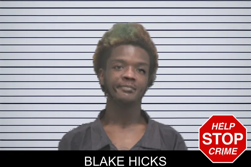Blake Hicks mugshot