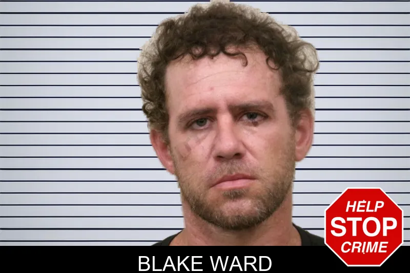 Blake Ward mugshot – Bulloch County , Georgia Blake Ward mugshot