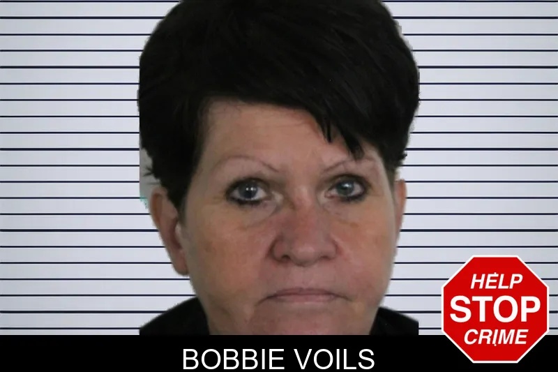 Bobbie Voils mugshot