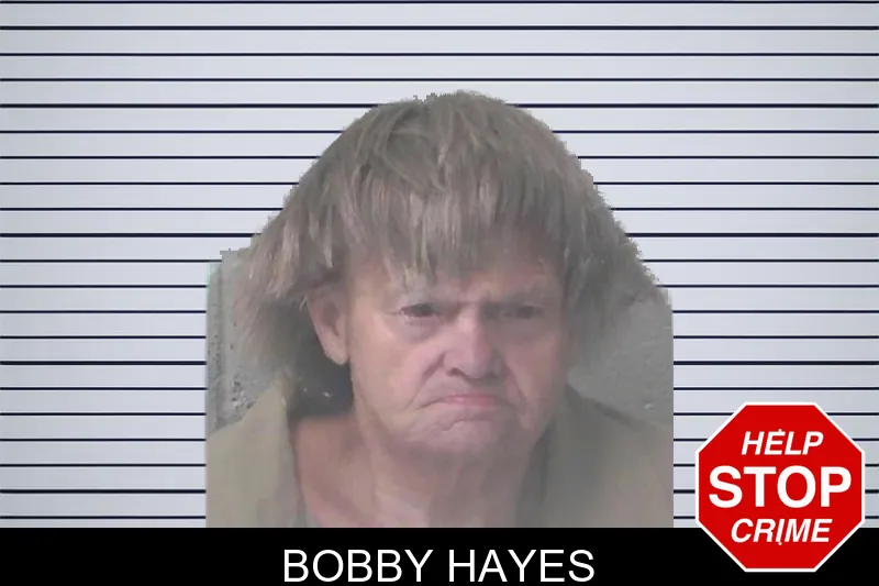 Bobby Hayes mugshot
