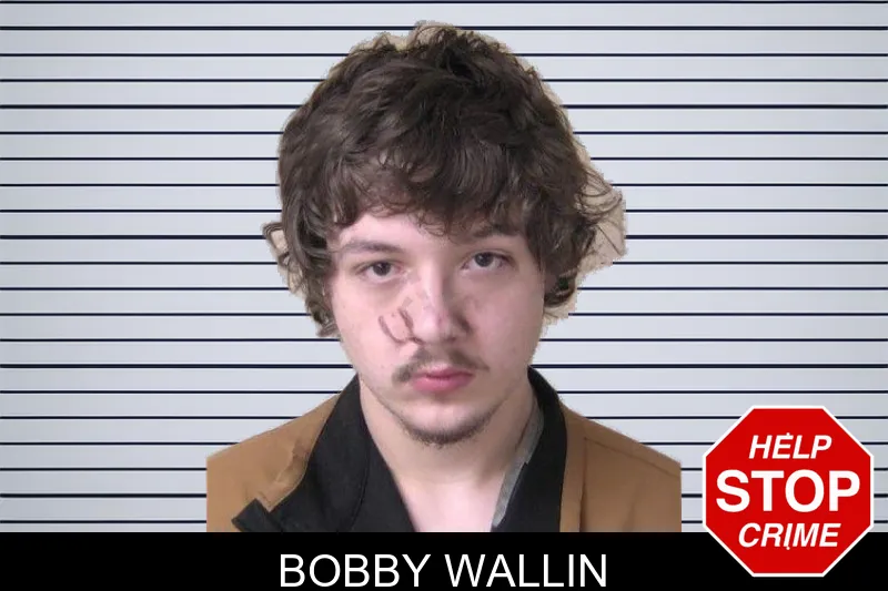Bobby Wallin mugshot – Walker County , Georgia Bobby Wallin mugshot