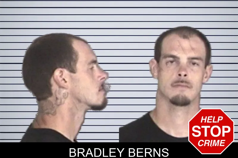 Bradley Berns mugshot