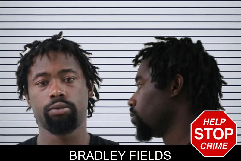 Bradley Fields mugshot