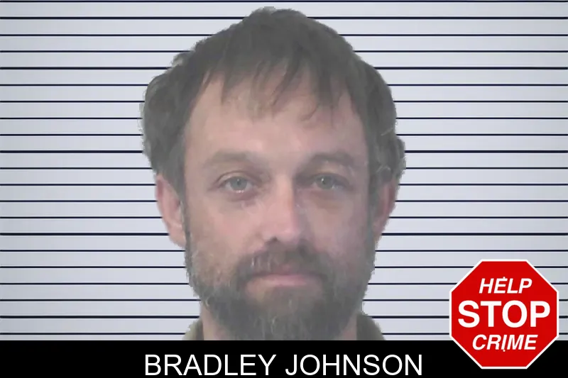 Bradley Johnson mugshot