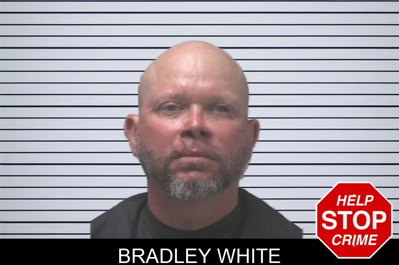 Bradley White mugshot