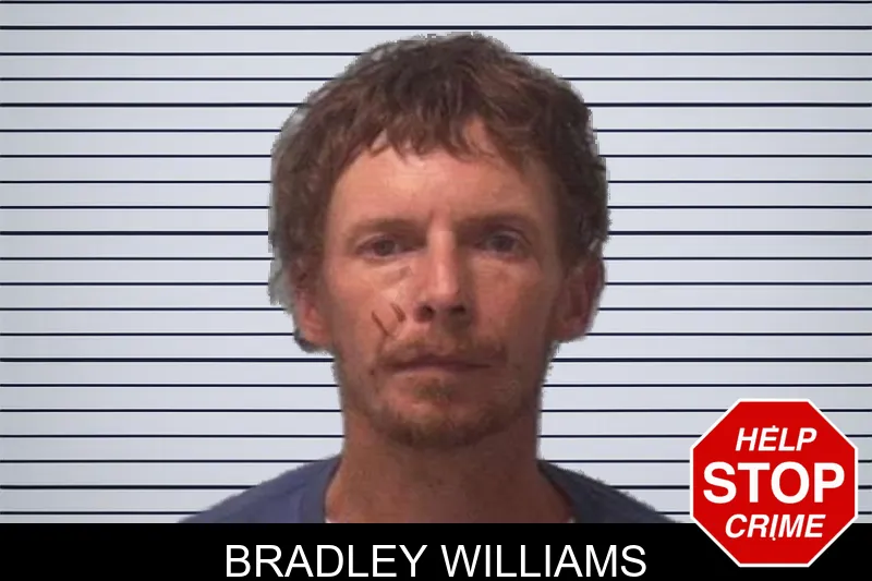 Bradley Williams mugshot