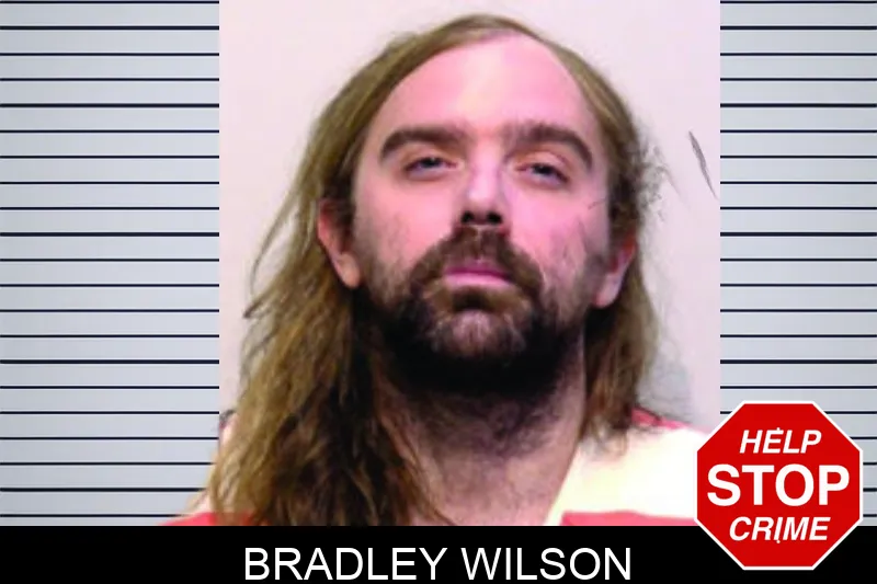 Bradley Wilson mugshot