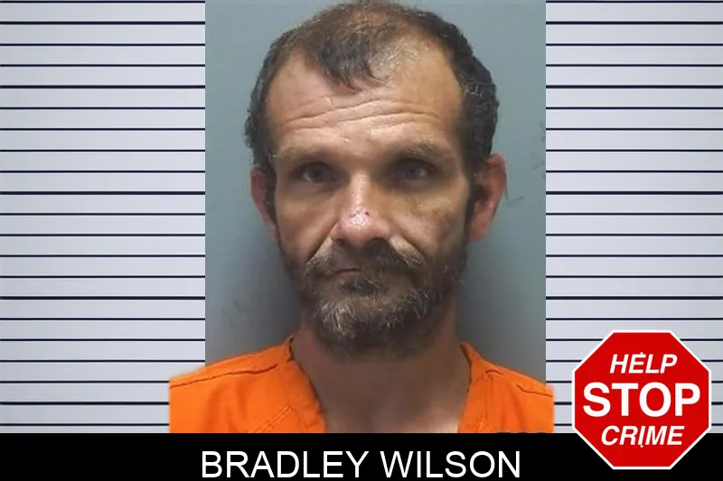 Bradley Wilson mugshot