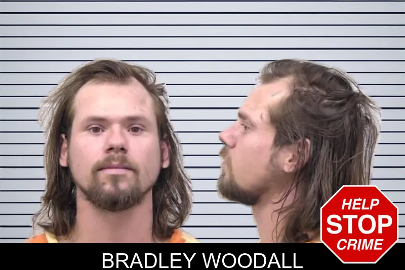 Bradley Woodall mugshot – Paulding County , Georgia Bradley Woodall mugshot