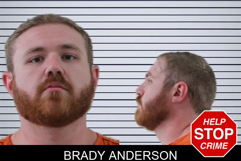 Brady Anderson mugshot