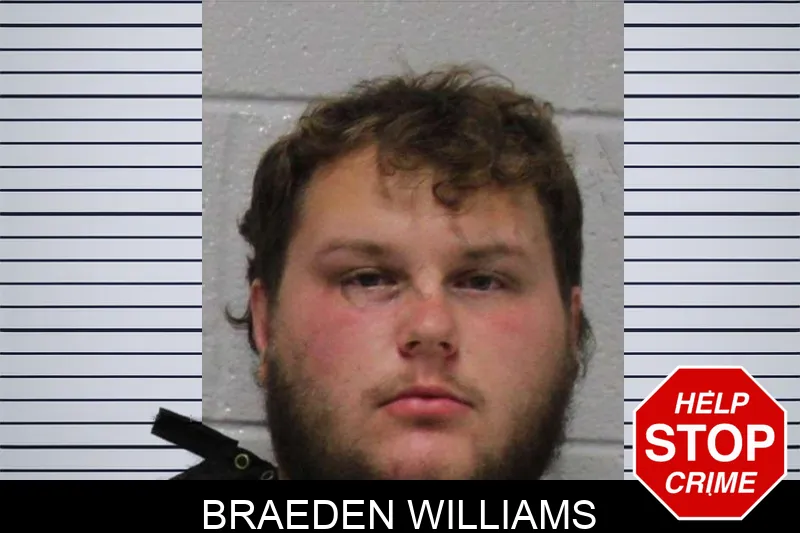 Braeden Williams mugshot