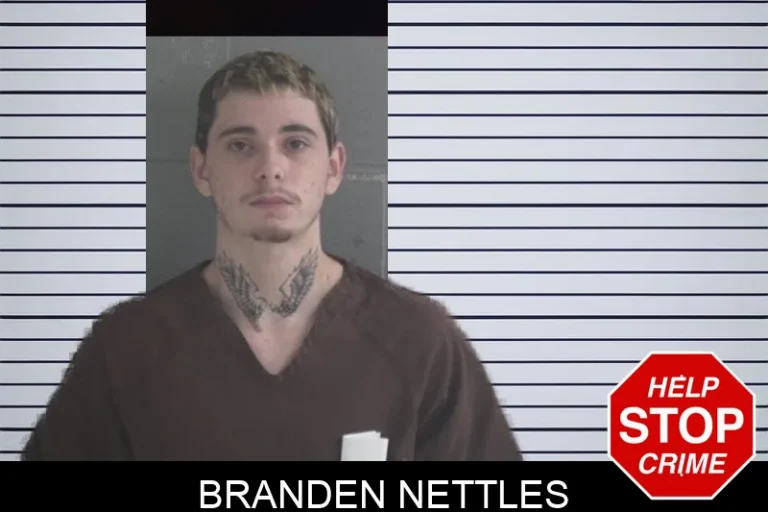 Branden Nettles