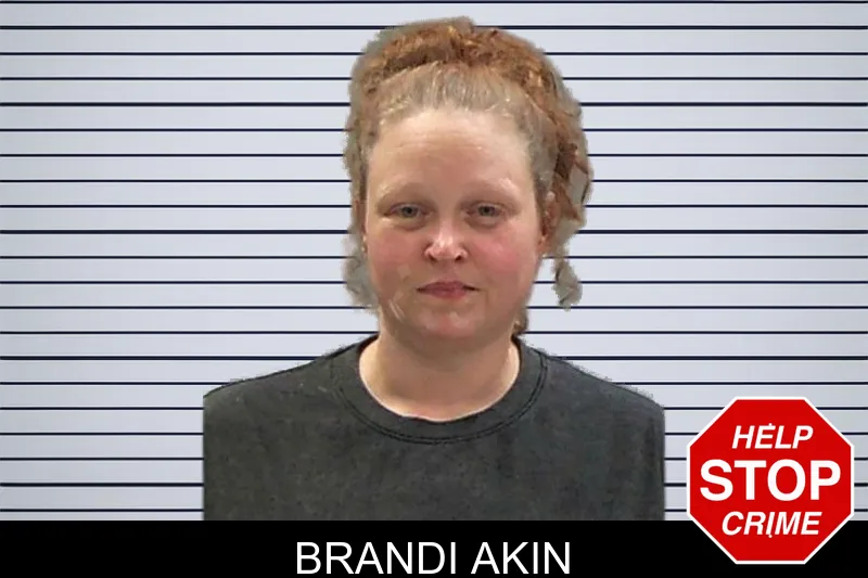 Brandi Akin mugshot – Baldwin County , Georgia Brandi Akin mugshot