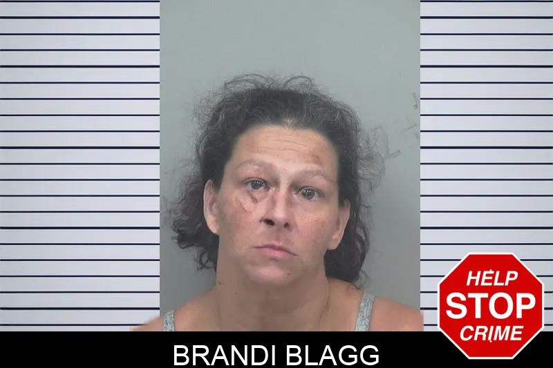 Brandi Blagg mugshot