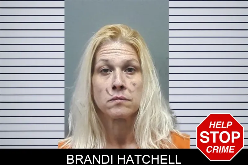 Brandi Hatchell mugshot – Cherokee County , Georgia Brandi Hatchell mugshot