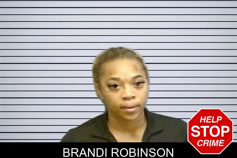 Brandi Robinson mugshot