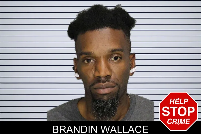 Brandin Wallace mugshot