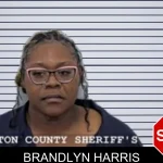 Brandlyn Harris mugshot