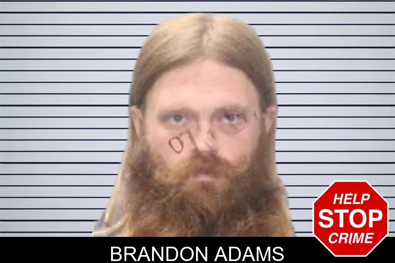 Brandon Adams mugshot