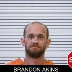 Brandon Akins mugshot