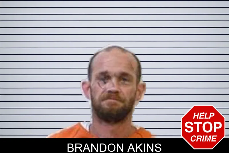 Brandon Akins mugshot