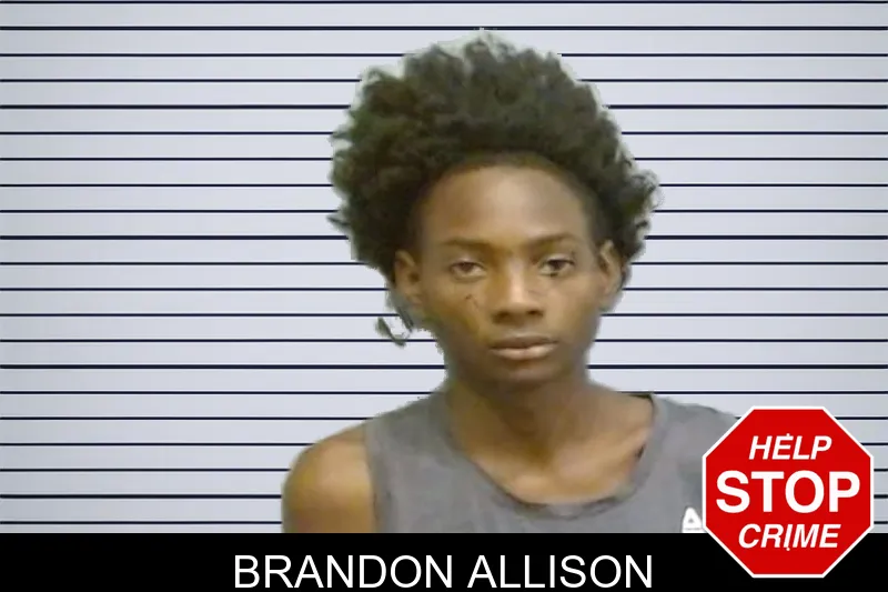 Brandon Allison mugshot