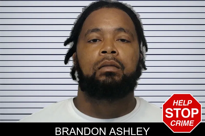 Brandon Ashley mugshot
