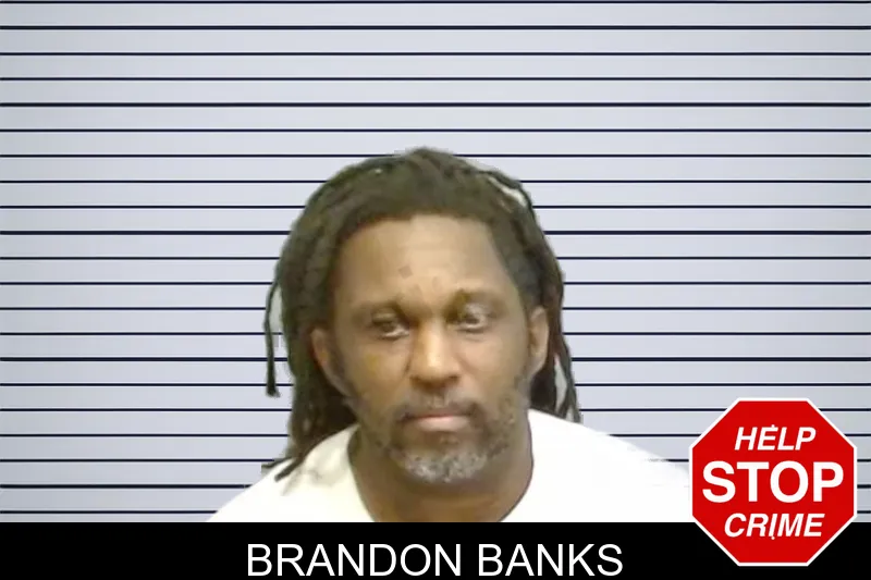 Brandon Banks mugshot