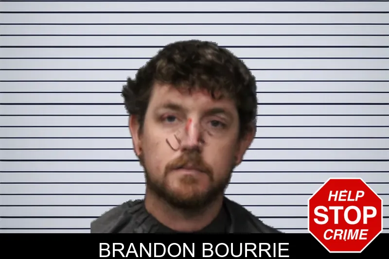 Brandon Bourrie mugshot