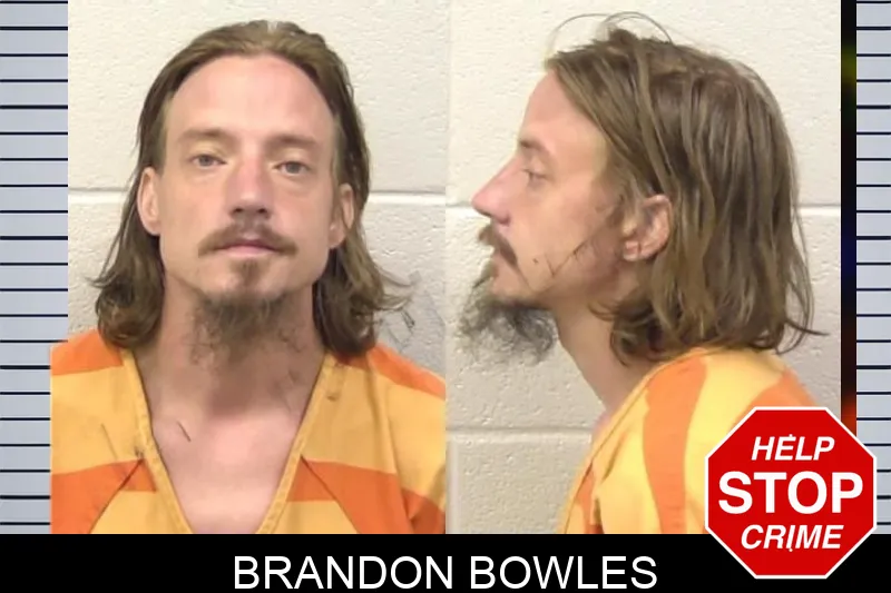 Brandon Bowles mugshot – Paulding County , Georgia Brandon Bowles mugshot