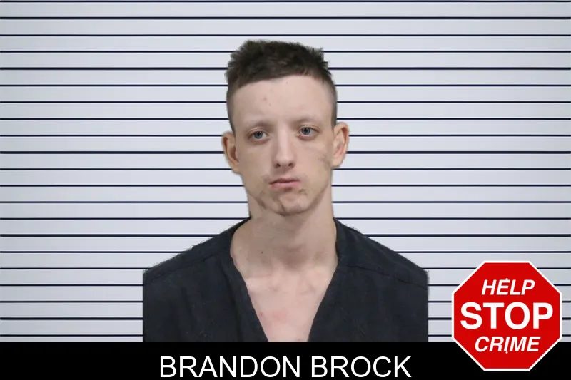 Brandon Brock mugshot