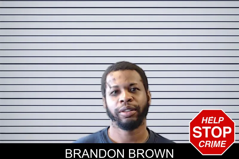 Brandon Brown mugshot