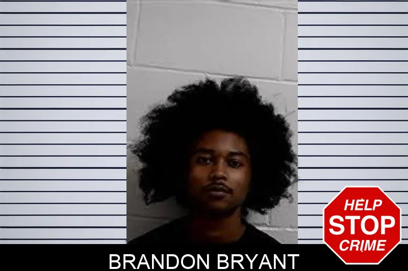 Brandon Bryant mugshot – Decatur County , Georgia Brandon Bryant mugshot