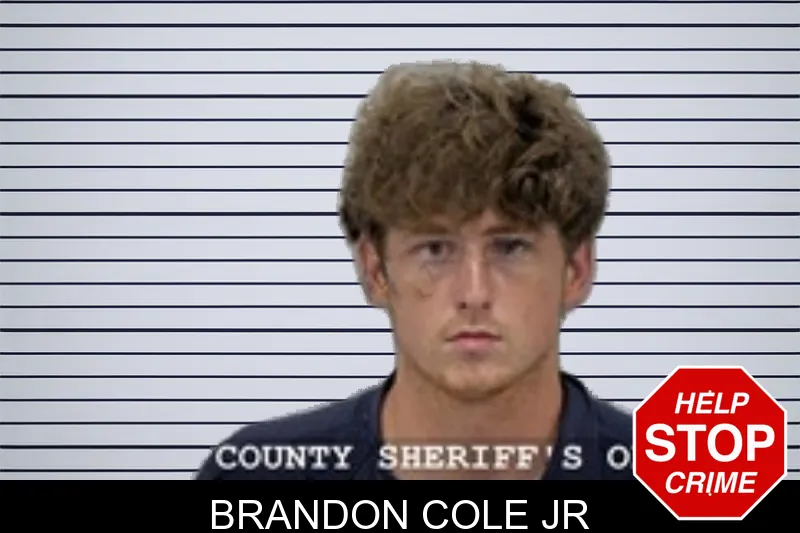Brandon Cole Jr mugshot – Walton County , Georgia Brandon Cole Jr mugshot