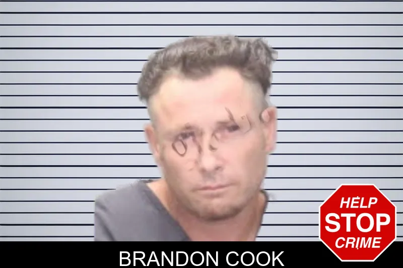 Brandon Cook mugshot