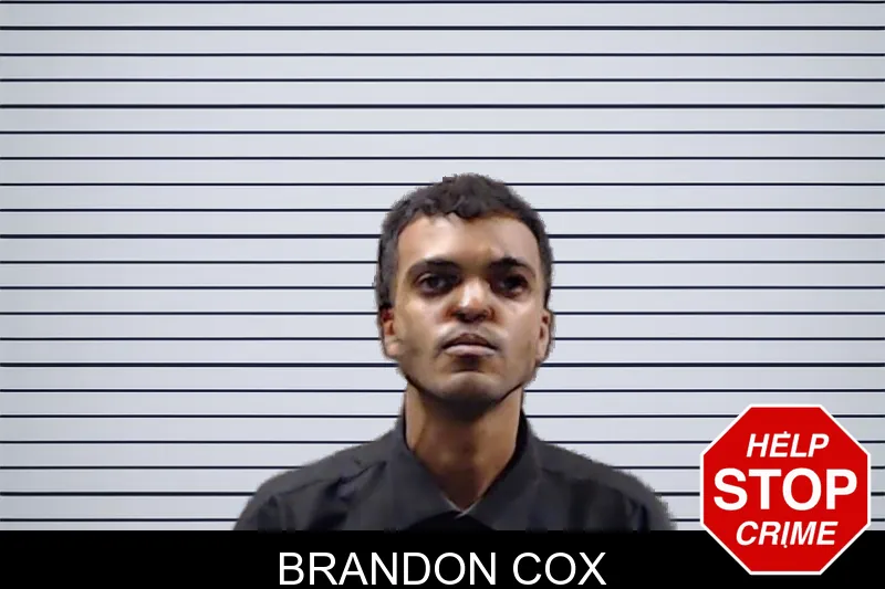 Brandon Cox mugshot