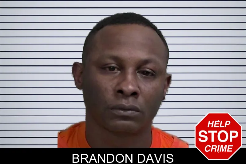 Brandon Davis mugshot – Wayne County , Georgia Brandon Davis mugshot
