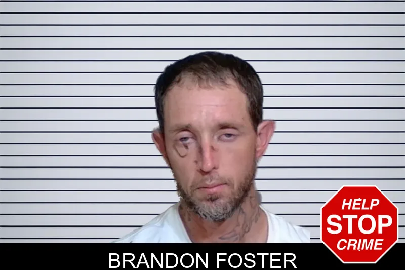 Brandon Foster mugshot – Glynn County , Georgia Brandon Foster mugshot