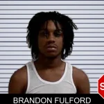 Brandon Fulford mugshot