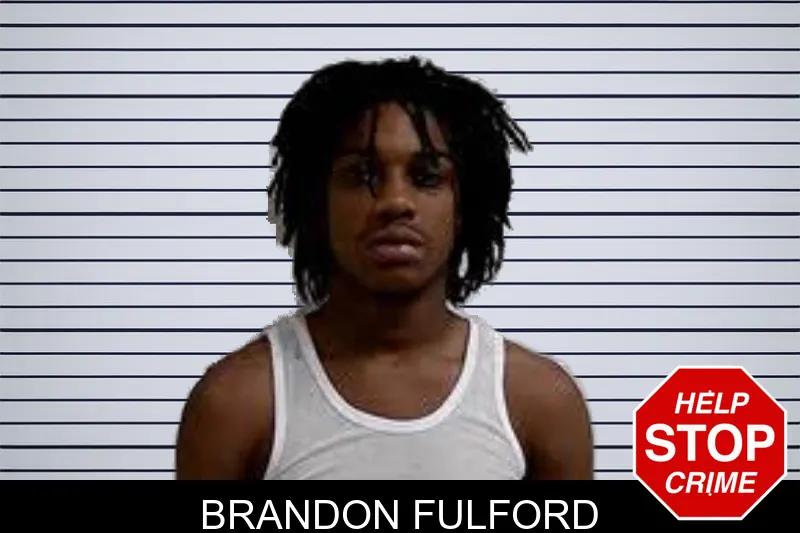 Brandon Fulford mugshot
