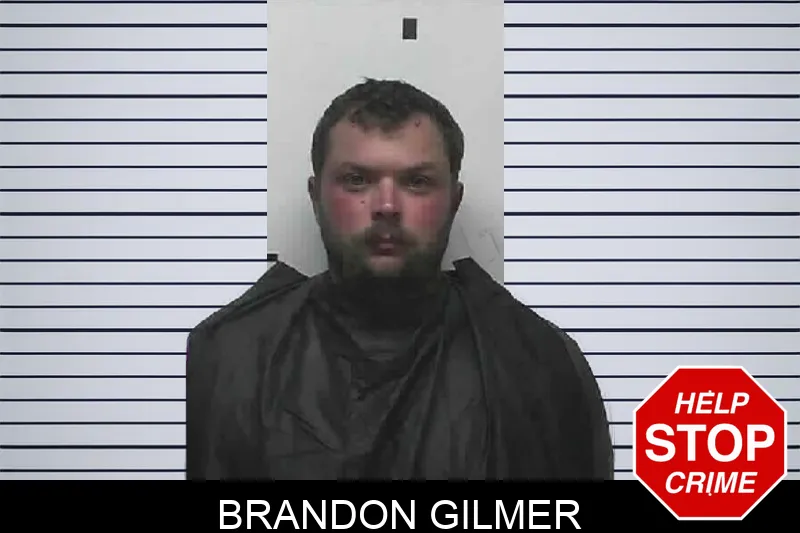 Brandon Gilmer mugshot – Pike County , Georgia Brandon Gilmer mugshot