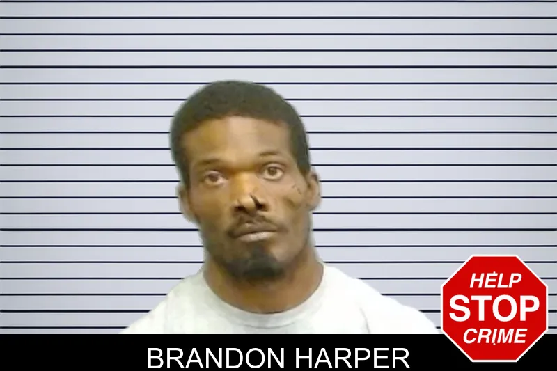 Brandon Harper mugshot