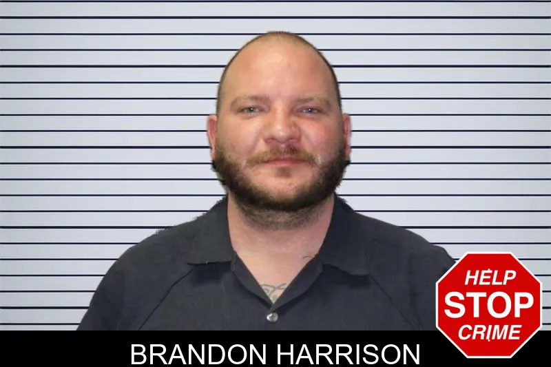 Brandon Harrison mugshot
