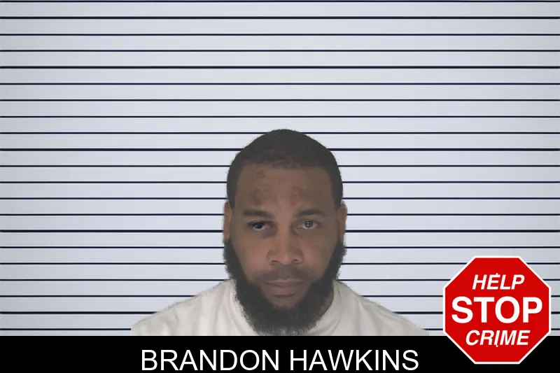 Brandon Hawkins mugshot
